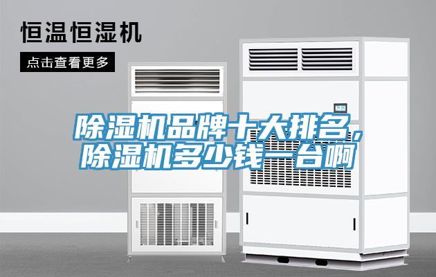 除濕機(jī)品牌十大排名，除濕機(jī)多少錢一臺啊
