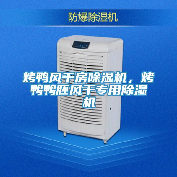 烤鴨風(fēng)干房除濕機，烤鴨鴨胚風(fēng)干專用除濕機