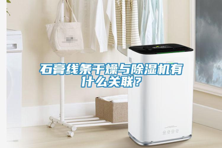 石膏線條干燥與除濕機(jī)有什么關(guān)聯(lián)？