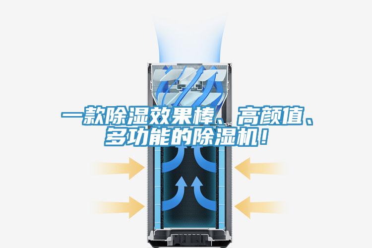 一款除濕效果棒、高顏值、多功能的除濕機！