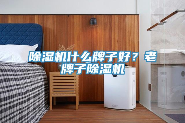除濕機什么牌子好？老牌子除濕機