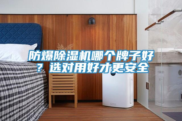 防爆除濕機(jī)哪個(gè)牌子好？選對(duì)用好才更安全