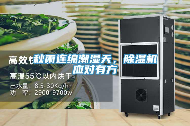 秋雨連綿潮濕天，除濕機應(yīng)對有方