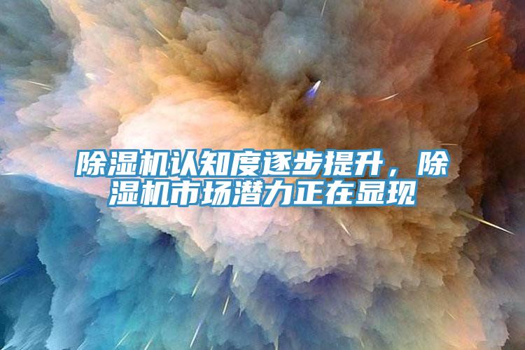 除濕機(jī)認(rèn)知度逐步提升，除濕機(jī)市場(chǎng)潛力正在顯現(xiàn)
