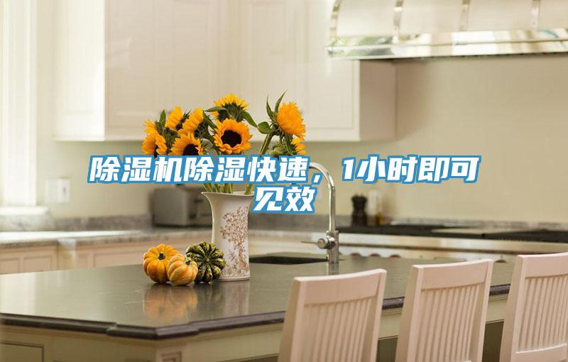 除濕機(jī)除濕快速，1小時(shí)即可見效