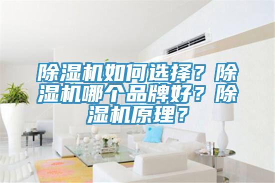 除濕機(jī)如何選擇？除濕機(jī)哪個(gè)品牌好？除濕機(jī)原理？