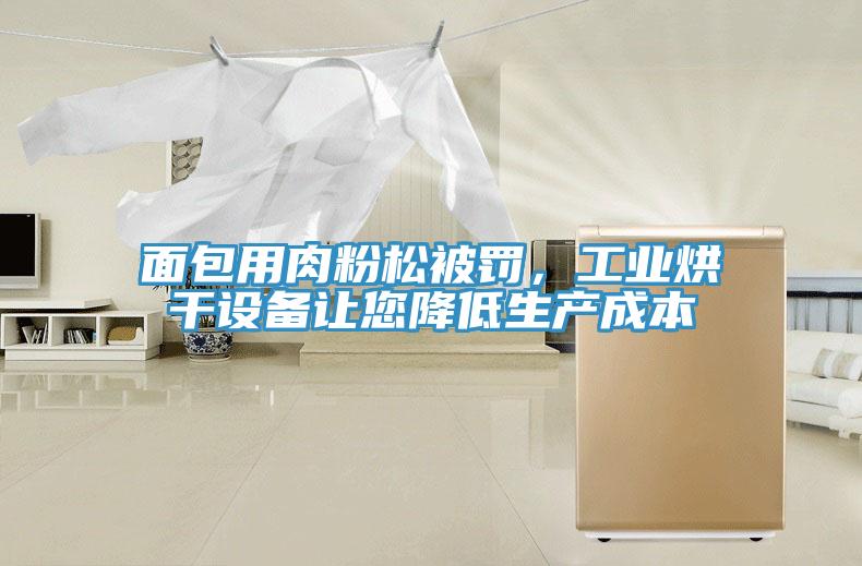 面包用肉粉松被罰，工業(yè)烘干設備讓您降低生產成本