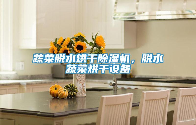 蔬菜脫水烘干除濕機(jī)，脫水蔬菜烘干設(shè)備