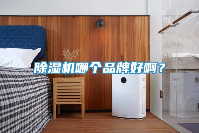 除濕機(jī)哪個品牌好?。?></div>
								<div   id=