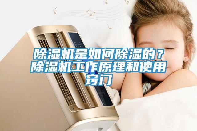 除濕機(jī)是如何除濕的？除濕機(jī)工作原理和使用竅門