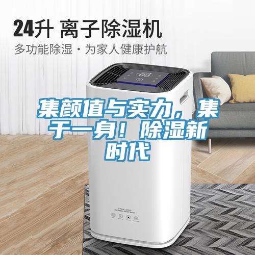 集顏值與實(shí)力，集于一身！除濕新時(shí)代