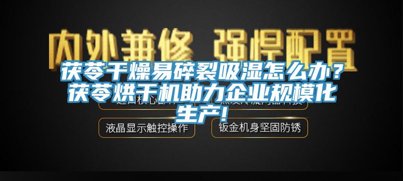 茯苓干燥易碎裂吸濕怎么辦？茯苓烘干機(jī)助力企業(yè)規(guī)模化生產(chǎn)!