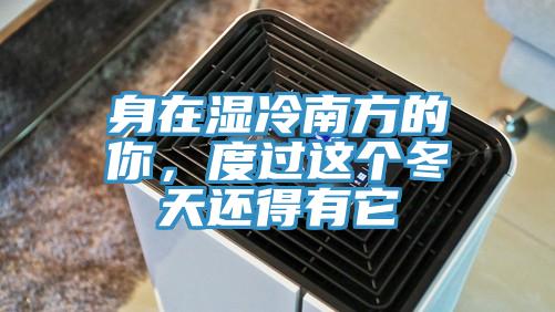 身在濕冷南方的你，度過這個冬天還得有它