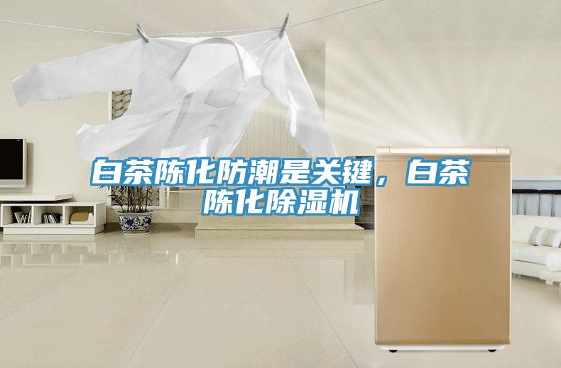 白茶陳化防潮是關(guān)鍵，白茶陳化除濕機(jī)
