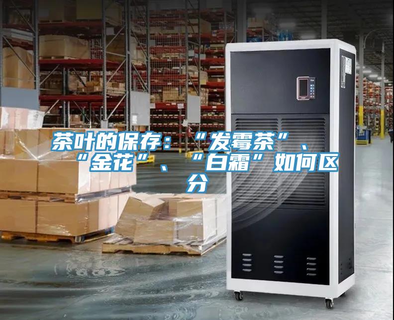 茶葉的保存：“發(fā)霉茶”、“金花”、“白霜”如何區(qū)分