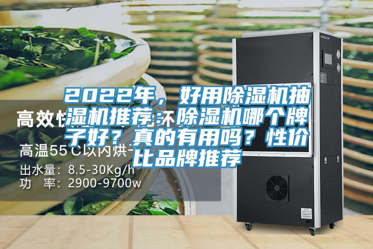 2022年，好用除濕機(jī)抽濕機(jī)推薦：除濕機(jī)哪個(gè)牌子好？真的有用嗎？性價(jià)比品牌推薦