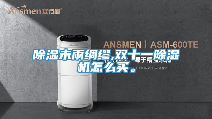 除濕未雨綢繆,雙十一除濕機怎么買。
