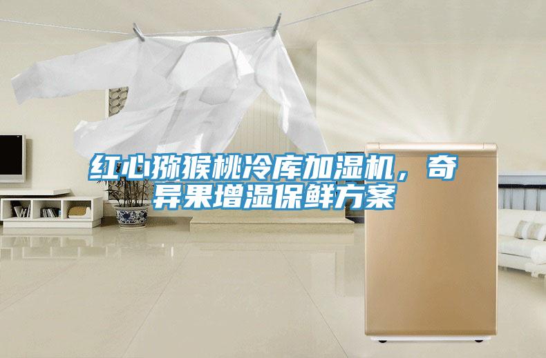 紅心獼猴桃冷庫(kù)加濕機(jī)，奇異果增濕保鮮方案
