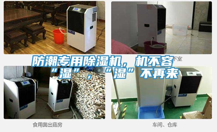 防潮專用除濕機(jī)，機(jī)不容“濕”，“濕”不再來