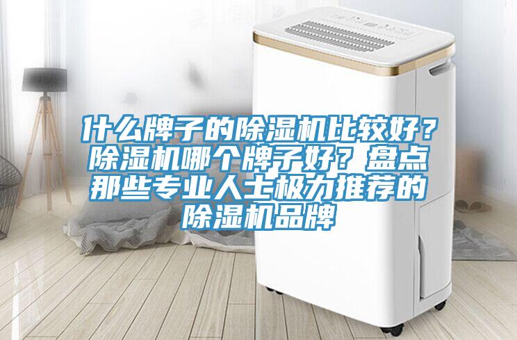 什么牌子的除濕機比較好？除濕機哪個牌子好？盤點那些專業(yè)人士極力推薦的除濕機品牌