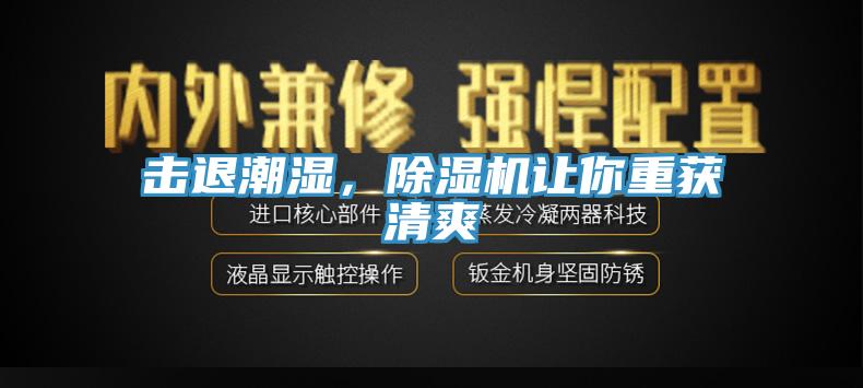 擊退潮濕，除濕機(jī)讓你重獲清爽