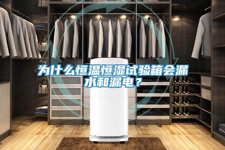 為什么恒溫恒濕試驗(yàn)箱會(huì)漏水和漏電？