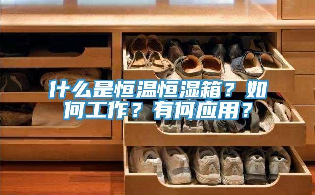 什么是恒溫恒濕箱？如何工作？有何應(yīng)用？