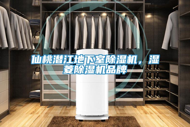 仙桃潛江地下室除濕機，濕菱除濕機品牌
