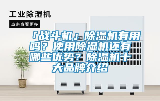 「戰(zhàn)斗機(jī)」除濕機(jī)有用嗎？使用除濕機(jī)還有哪些優(yōu)勢(shì)？除濕機(jī)十大品牌介紹