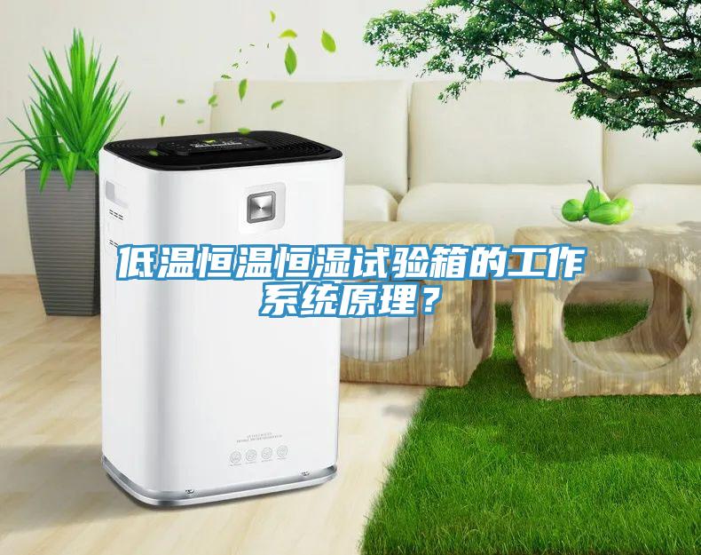 低溫恒溫恒濕試驗(yàn)箱的工作系統(tǒng)原理？