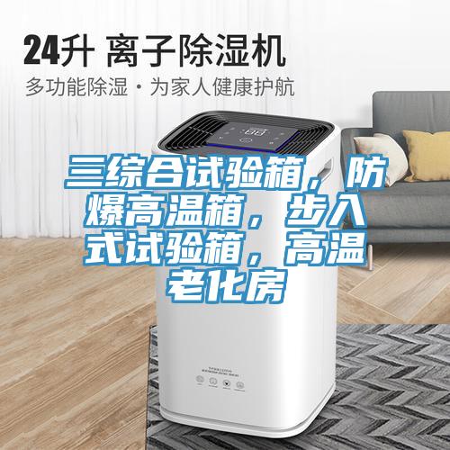 三綜合試驗(yàn)箱，防爆高溫箱，步入式試驗(yàn)箱，高溫老化房