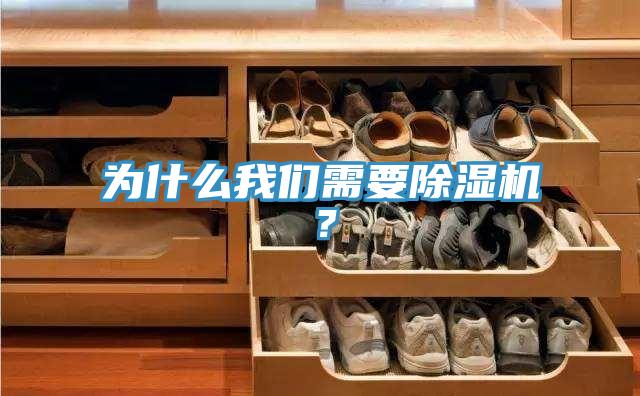 為什么我們需要除濕機？
