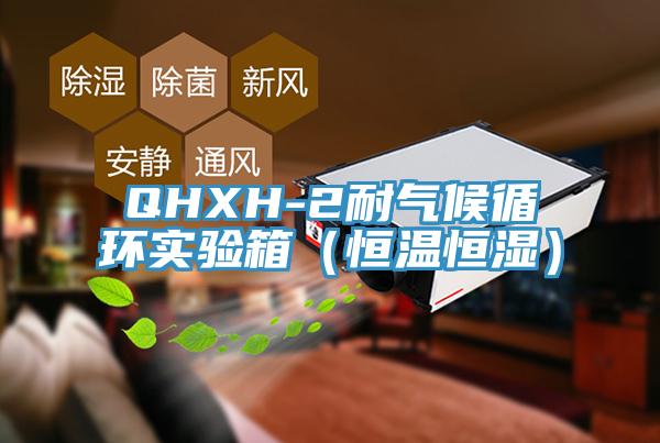 QHXH-2耐氣候循環(huán)實(shí)驗箱（恒溫恒濕）