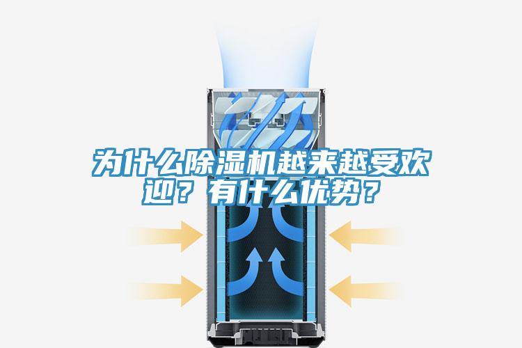 為什么除濕機越來越受歡迎？有什么優(yōu)勢？
