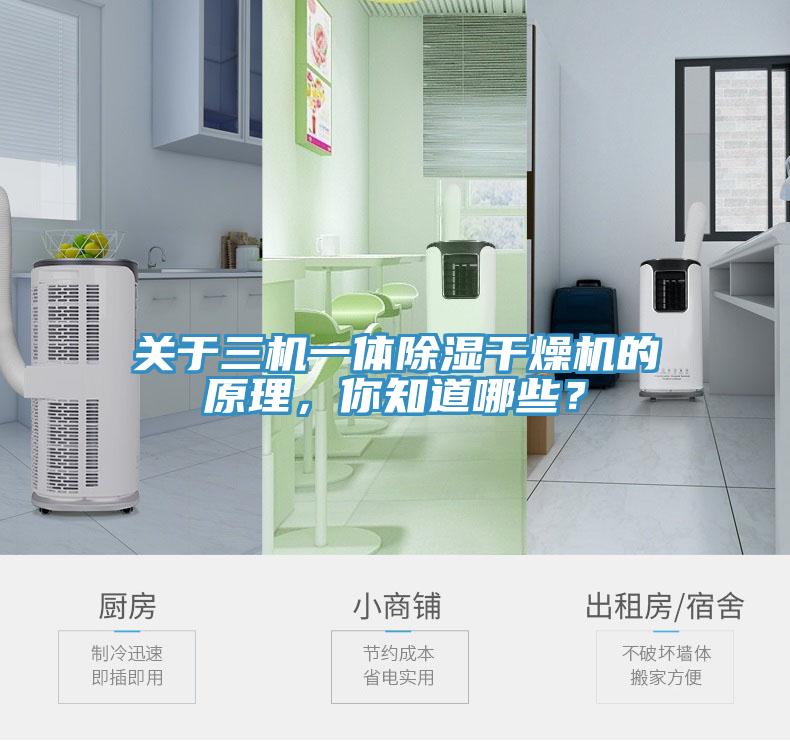 關(guān)于三機一體除濕干燥機的原理，你知道哪些？