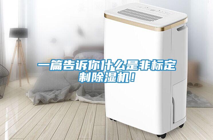 一篇告訴你什么是非標定制除濕機！