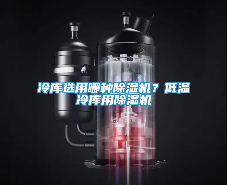 冷庫(kù)選用哪種除濕機(jī)？低溫冷庫(kù)用除濕機(jī)