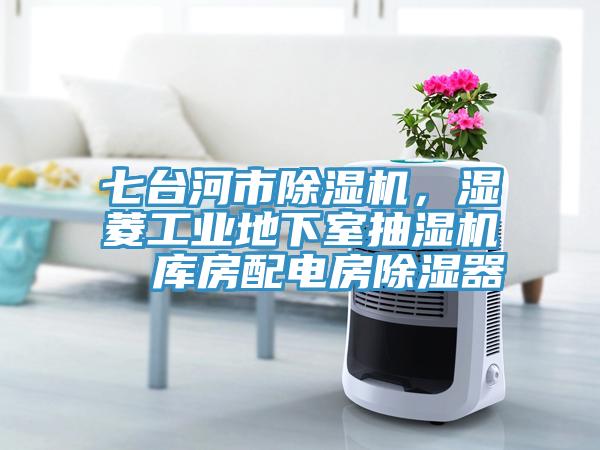 七臺(tái)河市除濕機(jī)，濕菱工業(yè)地下室抽濕機(jī)  庫(kù)房配電房除濕器