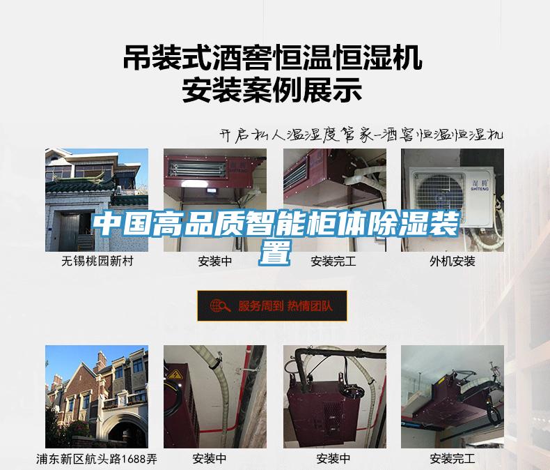 中國(guó)高品質(zhì)智能柜體除濕裝置