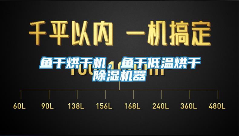 魚干烘干機(jī)，魚干低溫烘干除濕機(jī)器