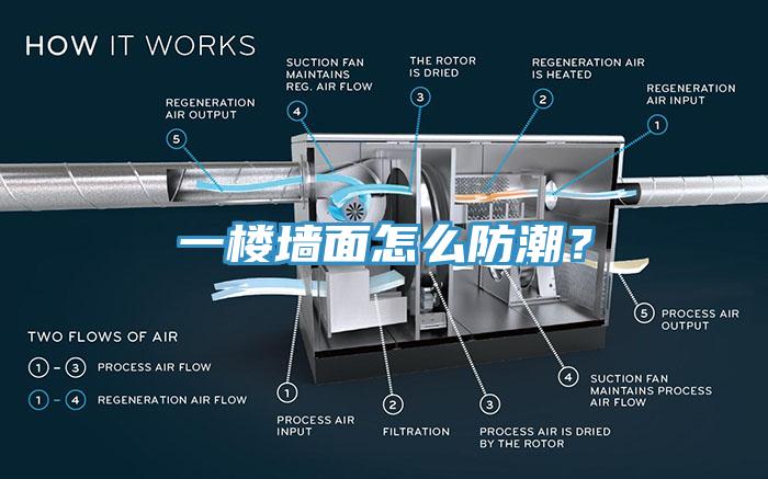 一樓墻面怎么防潮？