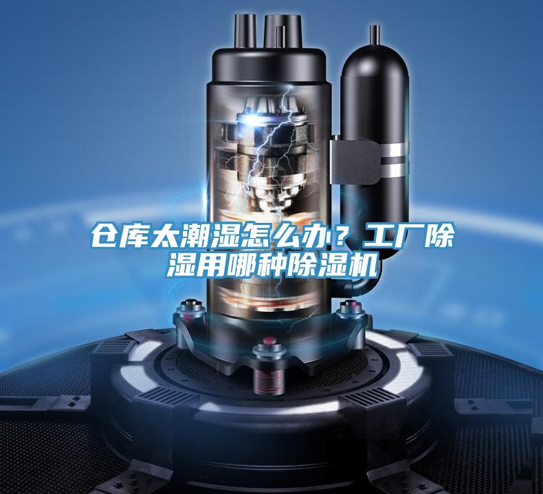 倉庫太潮濕怎么辦？工廠除濕用哪種除濕機