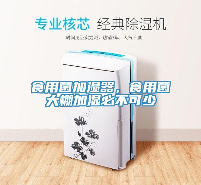 食用菌加濕器，食用菌大棚加濕必不可少