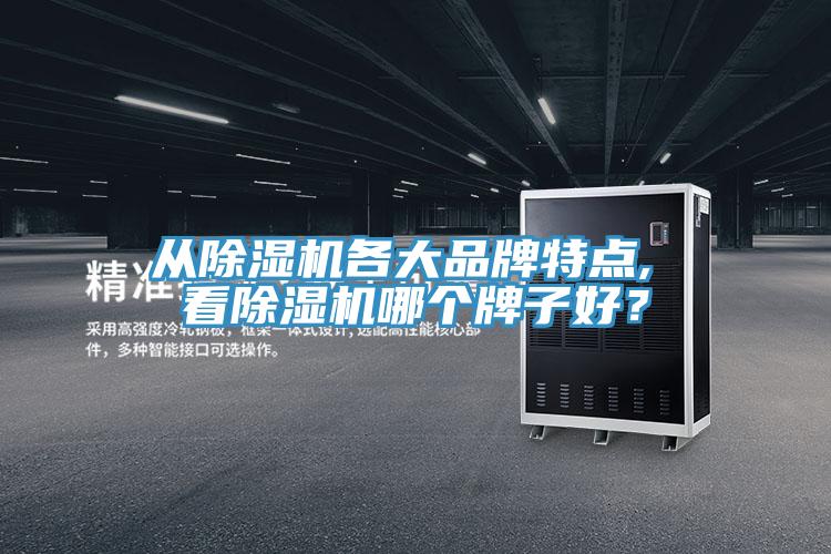 從除濕機各大品牌特點, 看除濕機哪個牌子好？