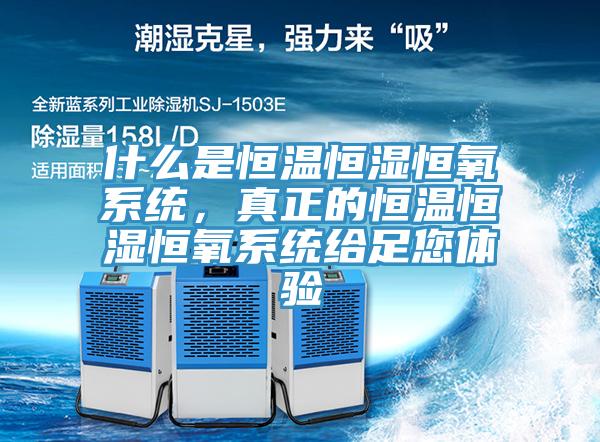 什么是恒溫恒濕恒氧系統(tǒng)，真正的恒溫恒濕恒氧系統(tǒng)給足您體驗