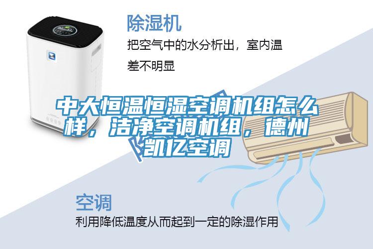 中大恒溫恒濕空調(diào)機(jī)組怎么樣，潔凈空調(diào)機(jī)組，德州凱億空調(diào)