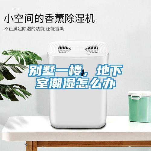 別墅一樓，地下室潮濕怎么辦