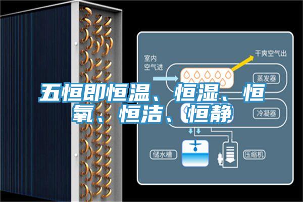 五恒即恒溫、恒濕、恒氧、恒潔、恒靜