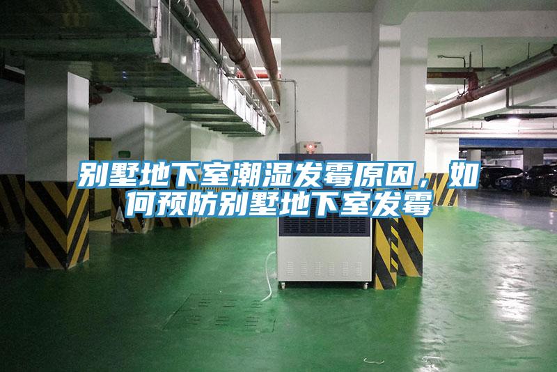 別墅地下室潮濕發(fā)霉原因，如何預防別墅地下室發(fā)霉