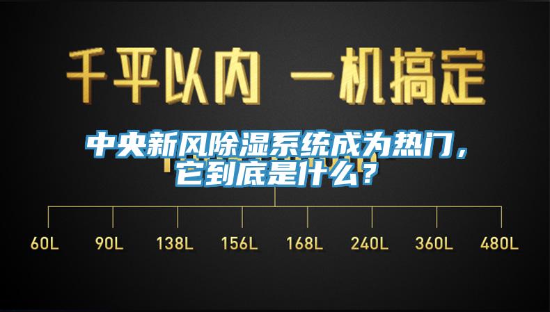 中央新風(fēng)除濕系統(tǒng)成為熱門，它到底是什么？